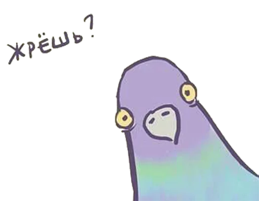 drawing illustration graphics