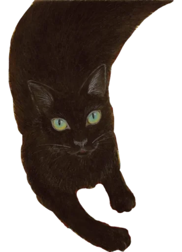 Стикер True_Shit1543 - 1