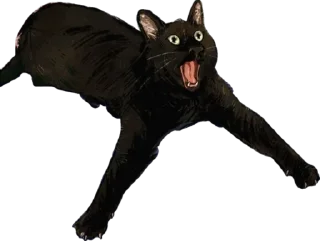 Sticker True shit @RedLotos1 - 7