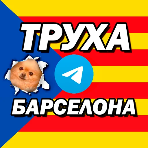 @TruhaBarselona 👈🏻жми - 