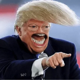 Trump Faces - person