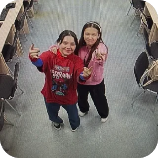 Стикер Армия Трушиной - 11