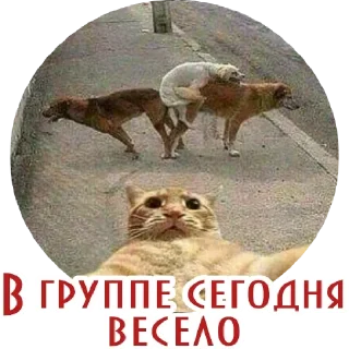 Sticker Цап - 1