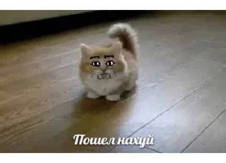 Sticker Ого, Голден Камуй - 7