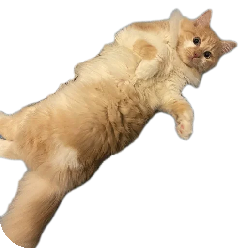 Стикер Tuctuctuc78 - 1