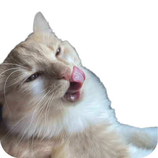 Sticker Tuctuctuc78 - 1