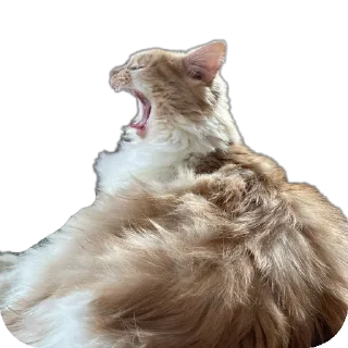 Стикер Tuctuctuc - 3