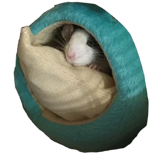 Стикер Tuctuctuc - 5