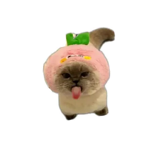 Стикер Tuctuctuc - 6