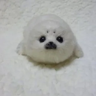 Стикер НЕРПЫ и не тока ОТ @irnykomar - 4