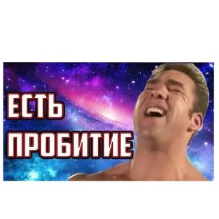 Sticker Тунки как смысл жизн - 1