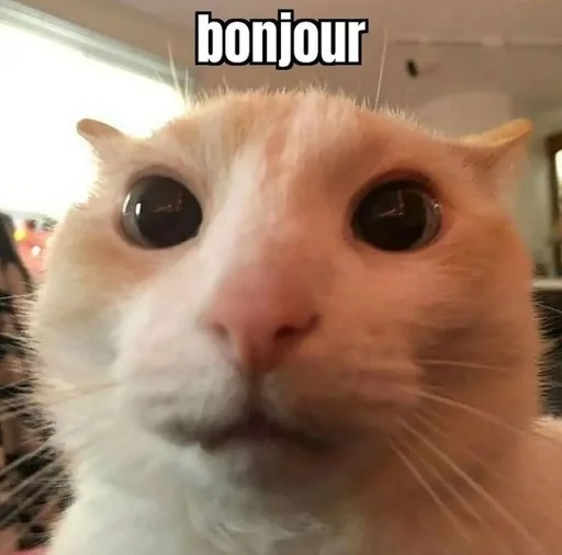 Стикер сігілш :: @fStikBot - 10