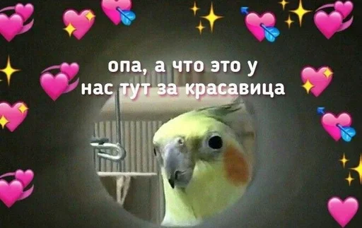 Стикер сігілш :: @fStikBot - 8