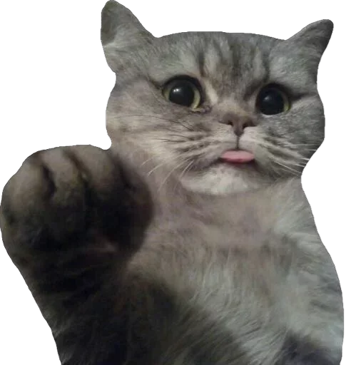 Sticker TupaniIkoty - 1