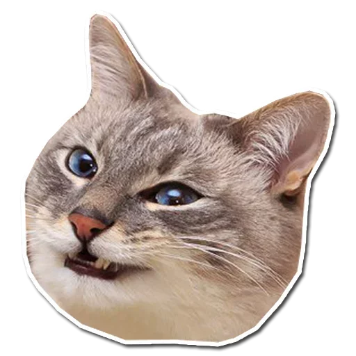 Sticker TupaniIkoty - 1