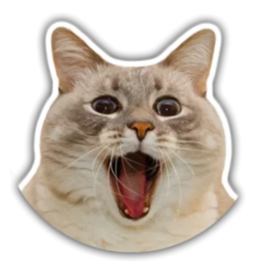 Sticker TupaniIkoty - 1