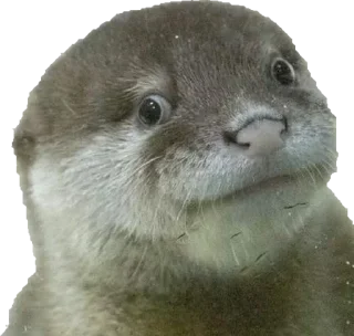 Стикер Hmmm @stickersb2b - 10