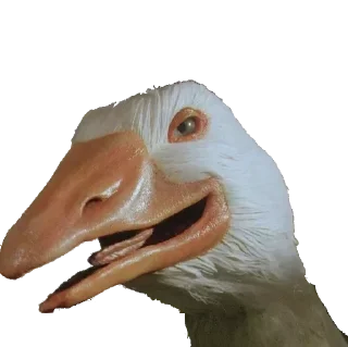 Стикер Hmmm @stickersb2b - 11