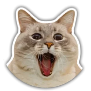 Стикер Hmmm @stickersb2b - 0