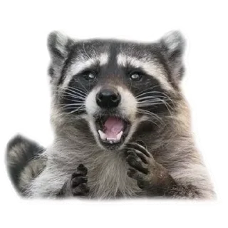 Стикер Hmmm @stickersb2b - 5