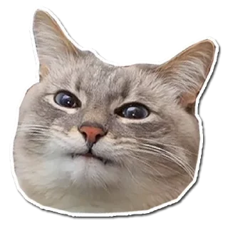 Стикер Hmmm @stickersb2b - 6