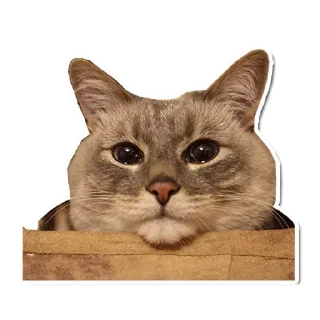 Стикер Hmmm @stickersb2b - 3