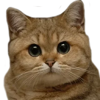 Стикер Hmmm @stickersb2b - 1