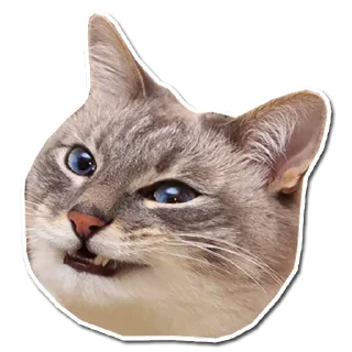 Стикер Hmmm @stickersb2b - 7