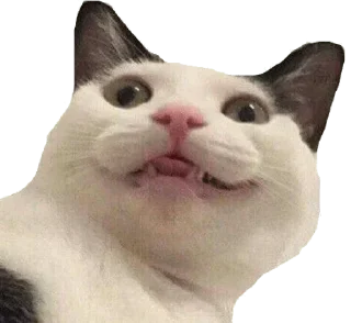 Стикер Hmmm @stickersb2b - 8