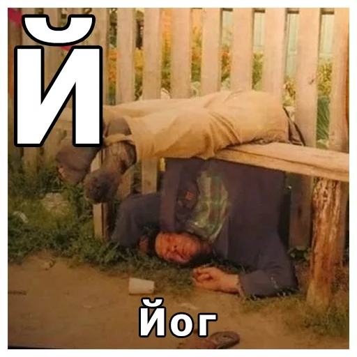 СМС скриншот слон