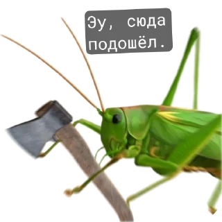 Стикер тупые пикчи - 0