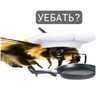 Стикер тупые пикчи - 10