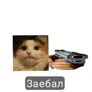 Стикер тупые пикчи - 2