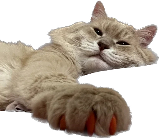 Стикер Turboscat - 1