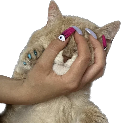 Sticker Turboscat - 1