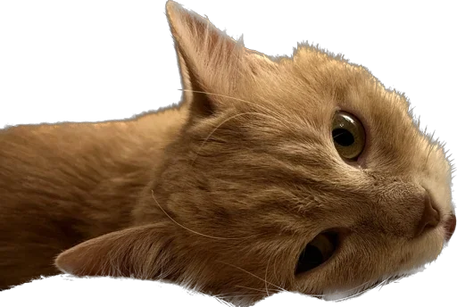 турбосина - 