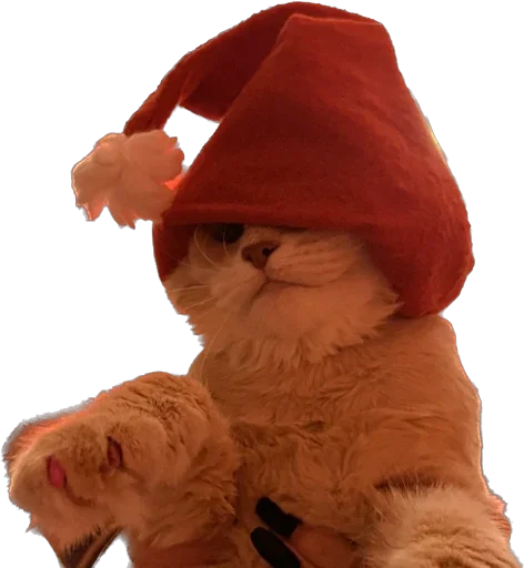 Sticker Turboscat - 1