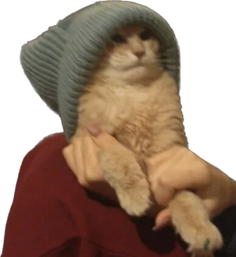 Sticker Turboscat - 1