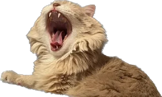 Стикер турбосина - 4