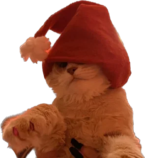 Стикер турбосина - 9