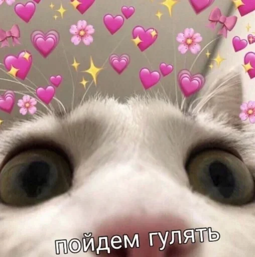 Стикер Kitty :: @fStikBot - 5