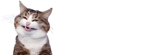 Стикер Kitty :: @fStikBot - 4