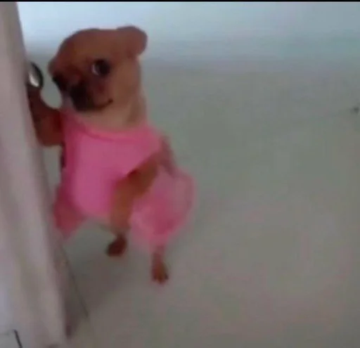 Стикер Kitty :: @fStikBot - 3