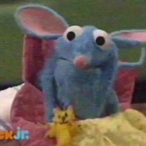 bunny rabbits and hares domestic rabbit