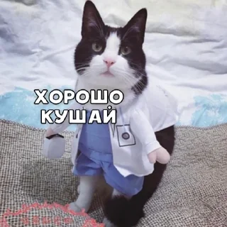 Sticker For u, bitch - 2