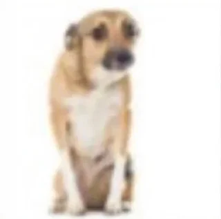 Sticker Word's of andrade - 1