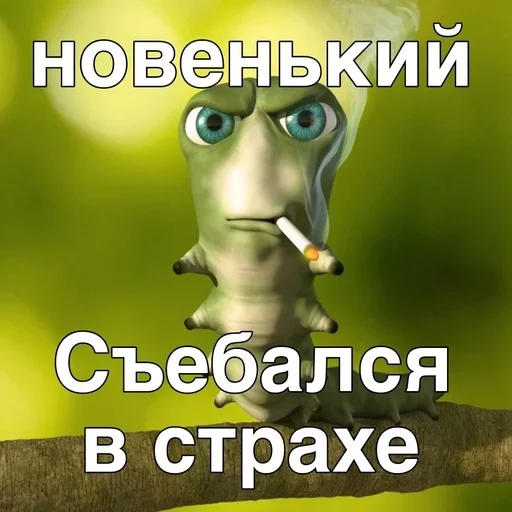 Sticker TvMKRYv_by_achestickbot - 1