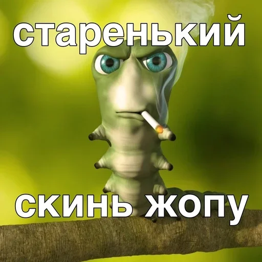 Стикер TvMKRYv_by_achestickbot - 1