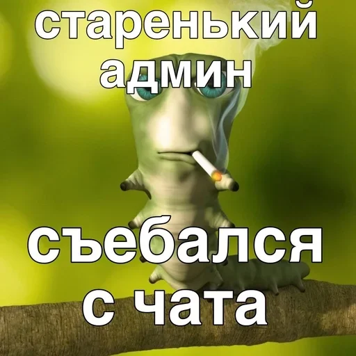 Стикер TvMKRYv_by_achestickbot - 1