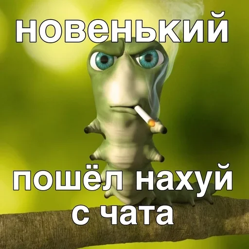 Sticker TvMKRYv_by_achestickbot - 1